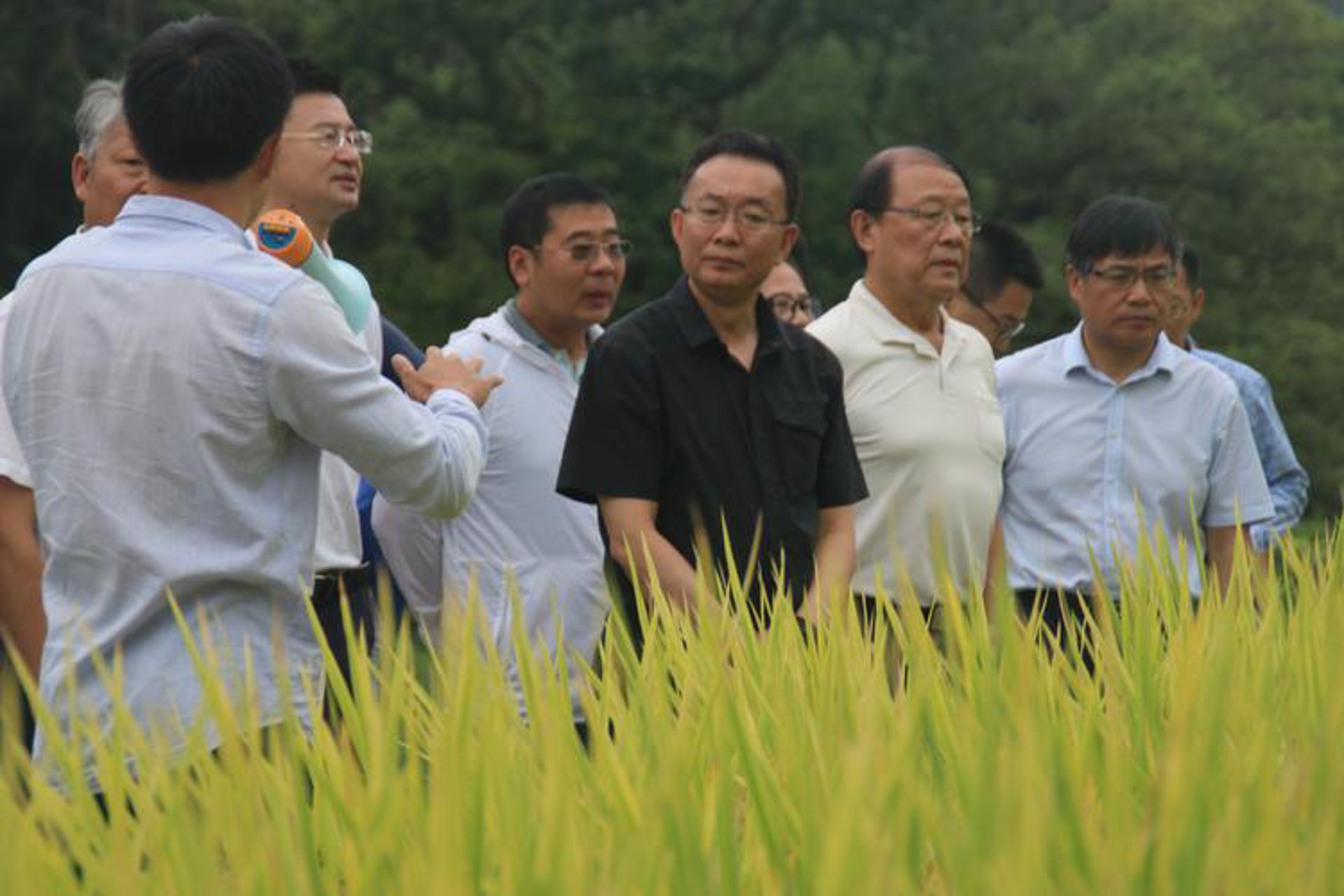 俄丰农业科技